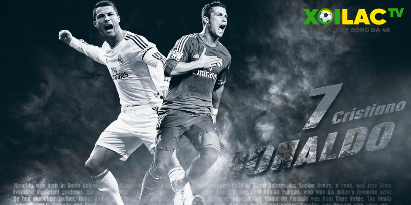 tổng quan về xoilac 