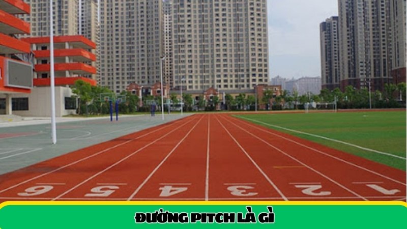 duong-pitch-la-gi