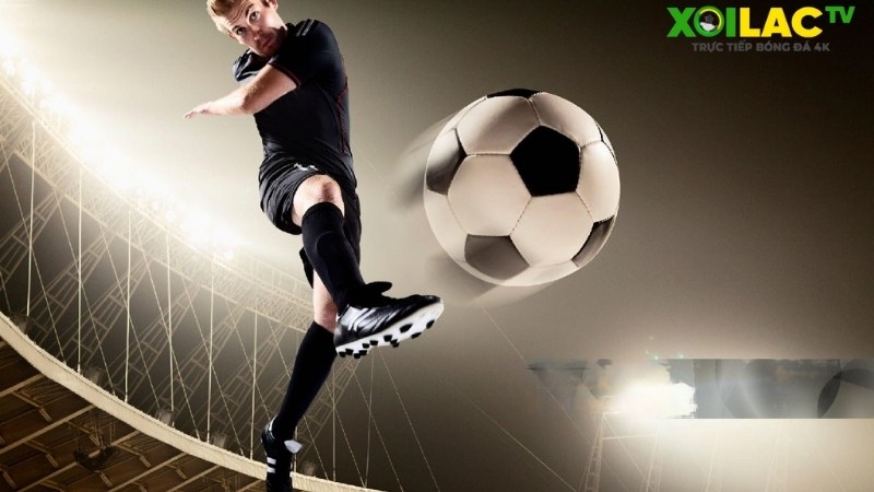 kết quả các trận đấu