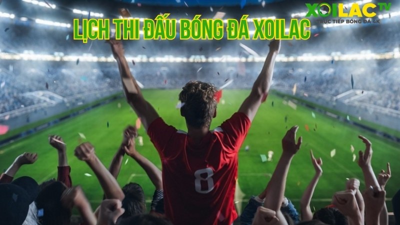 Lịch thi đấu
