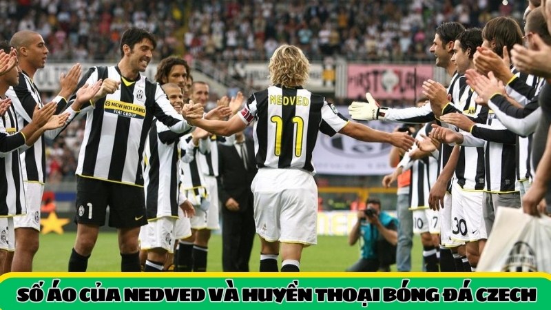 Tìm hiểu số áo của Nedved