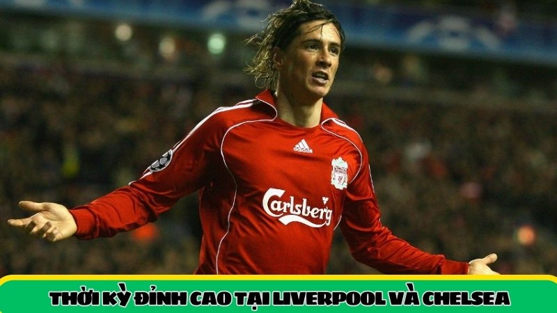 Số áo của Torres tại Liverpool
