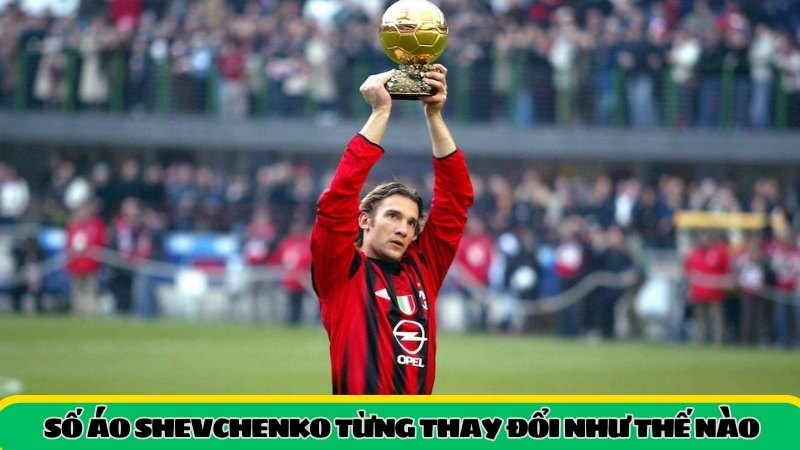 số áo shevchenko